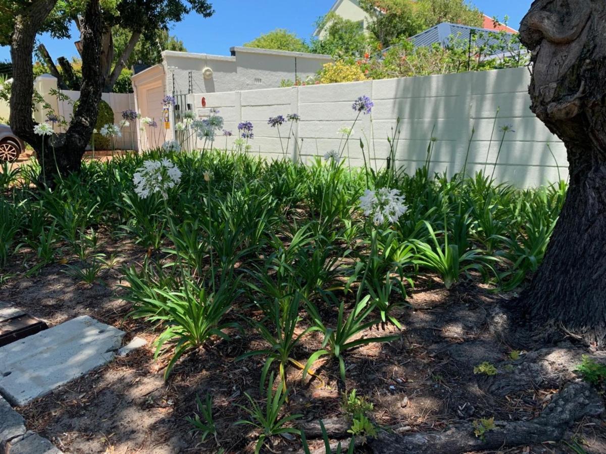 Squirrels Way Cottages Cape Town Exterior foto